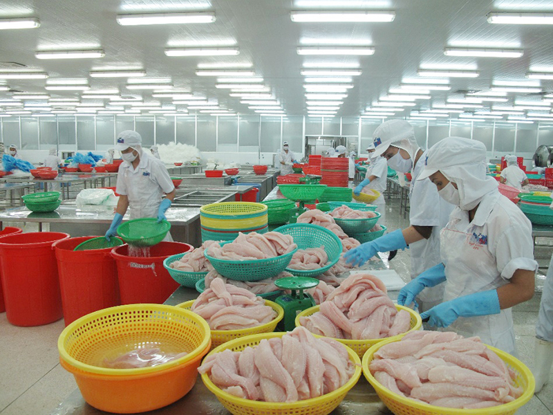 Nhà máy thủy sản Cà Mau
