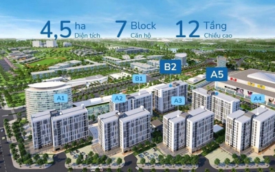 KHU ĐÔ THỊ MỚI VÀM CỎ ĐÔNG